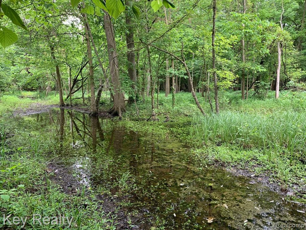 4955 Ohara Road Carleton, MI 48117 - Photo 19 of 25
