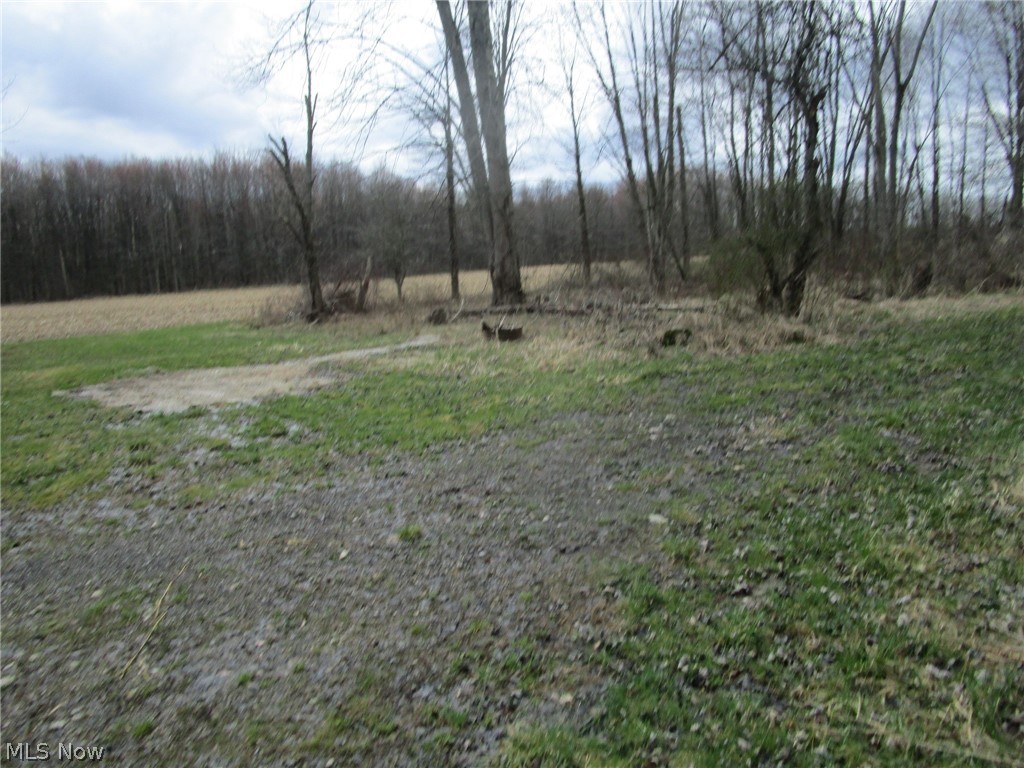 4381 Higley Road Rome, OH 44085 - Photo 14 of 41