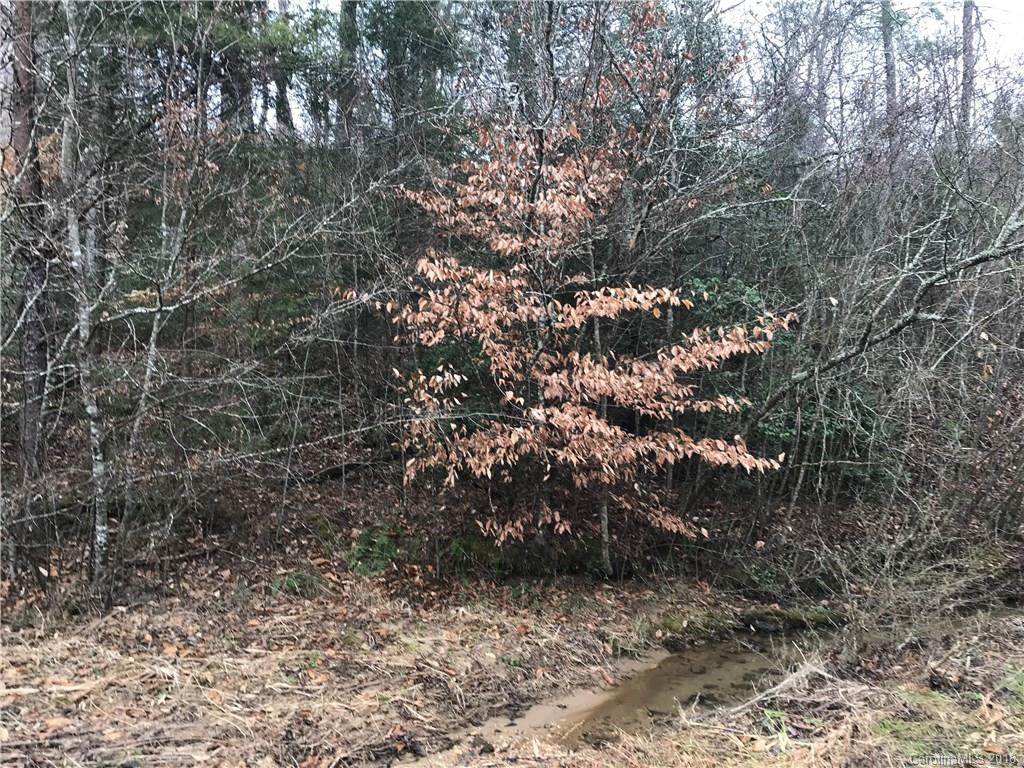 V/l Mud Cut Road Marion, NC 28752 - Photo 15 of 20 Gallery Image 15