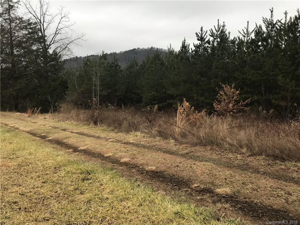 V/l Mud Cut Road Marion, NC 28752 - Photo 5 of 20 Gallery Image 5
