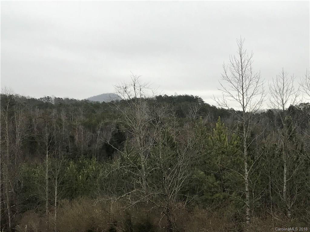 V/l Mud Cut Road Marion, NC 28752 - Photo 8 of 20 Gallery Image 8