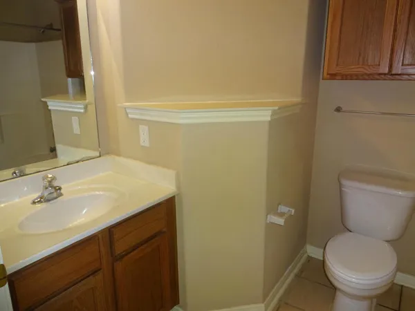 a bathroom with a sink and a toilet