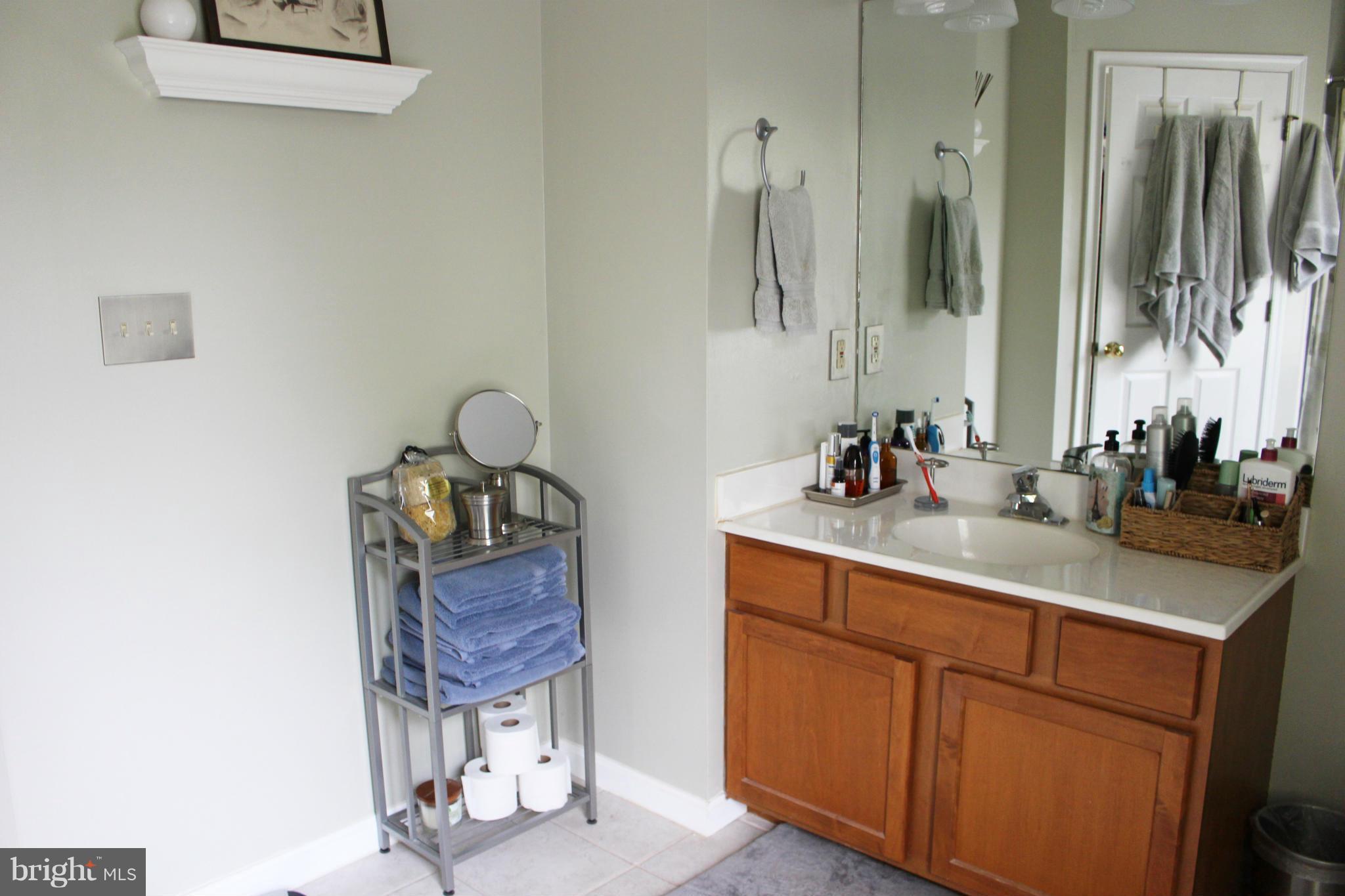245 Milldale Road Front Royal, VA 22630 - Photo 21 of 29 a bathroom with a sink vanity and mirror