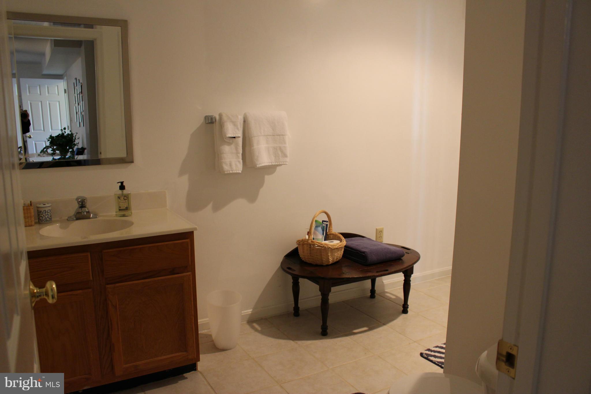 245 Milldale Road Front Royal, VA 22630 - Photo 23 of 29 a bathroom with a sink and a mirror