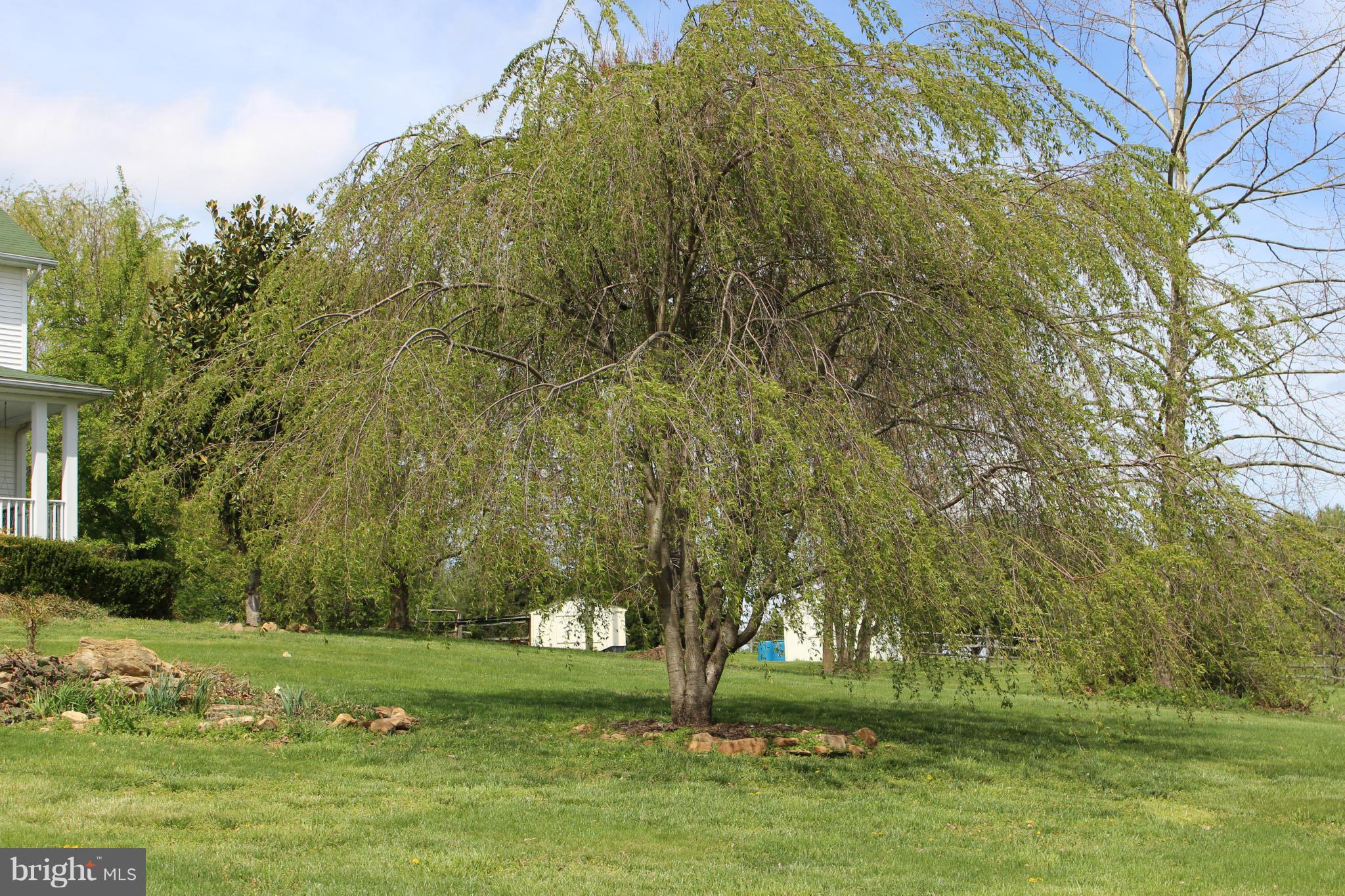 245 Milldale Road Front Royal, VA 22630 - Photo 25 of 29 a view of a park
