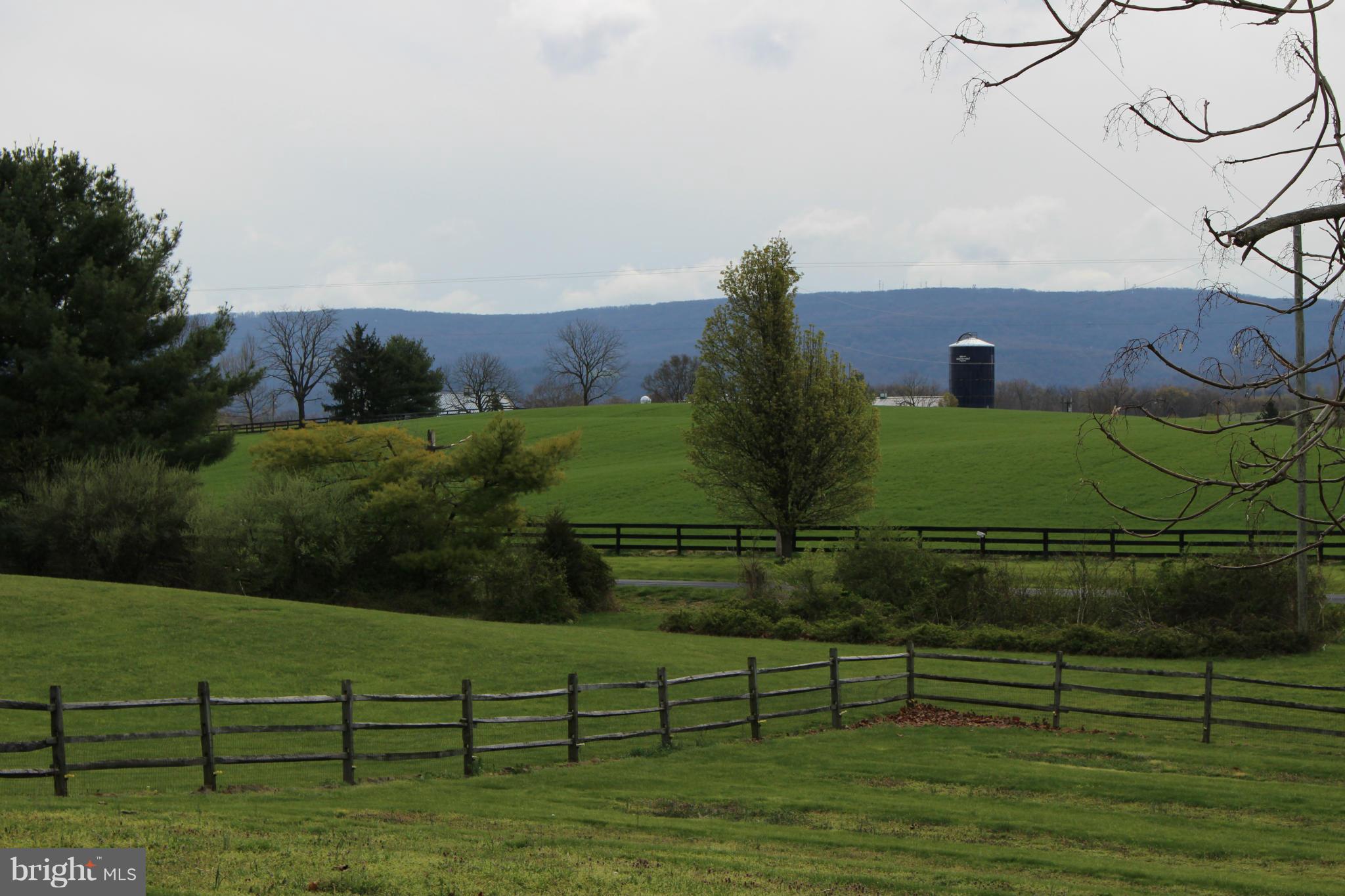 245 Milldale Road Front Royal, VA 22630 - Photo 27 of 29 a view of a yard