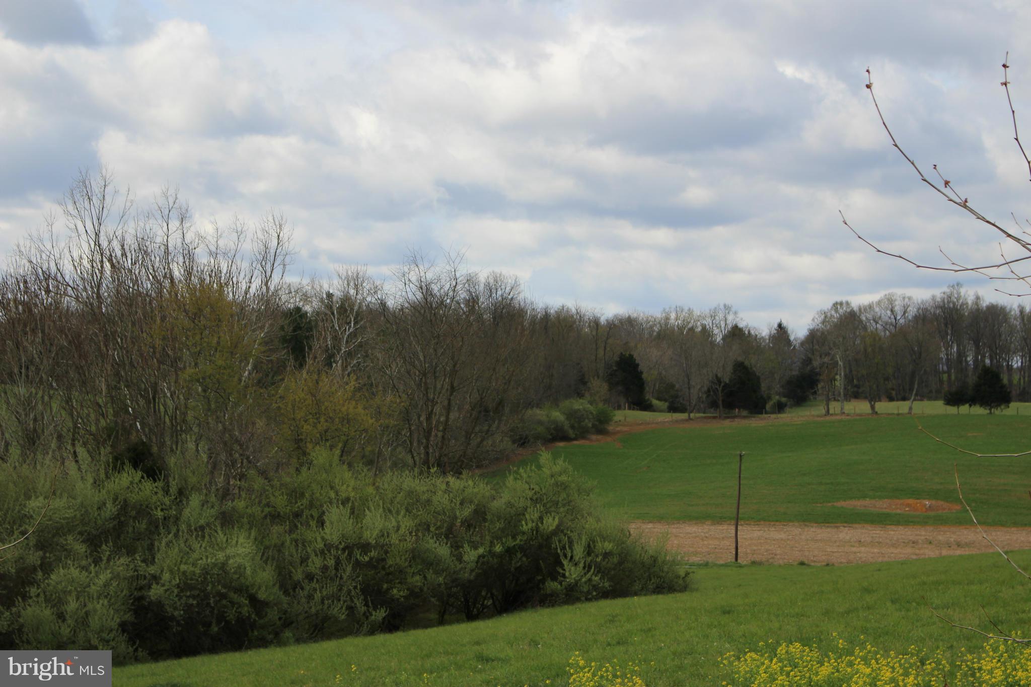245 Milldale Road Front Royal, VA 22630 - Photo 28 of 29 a view of a park
