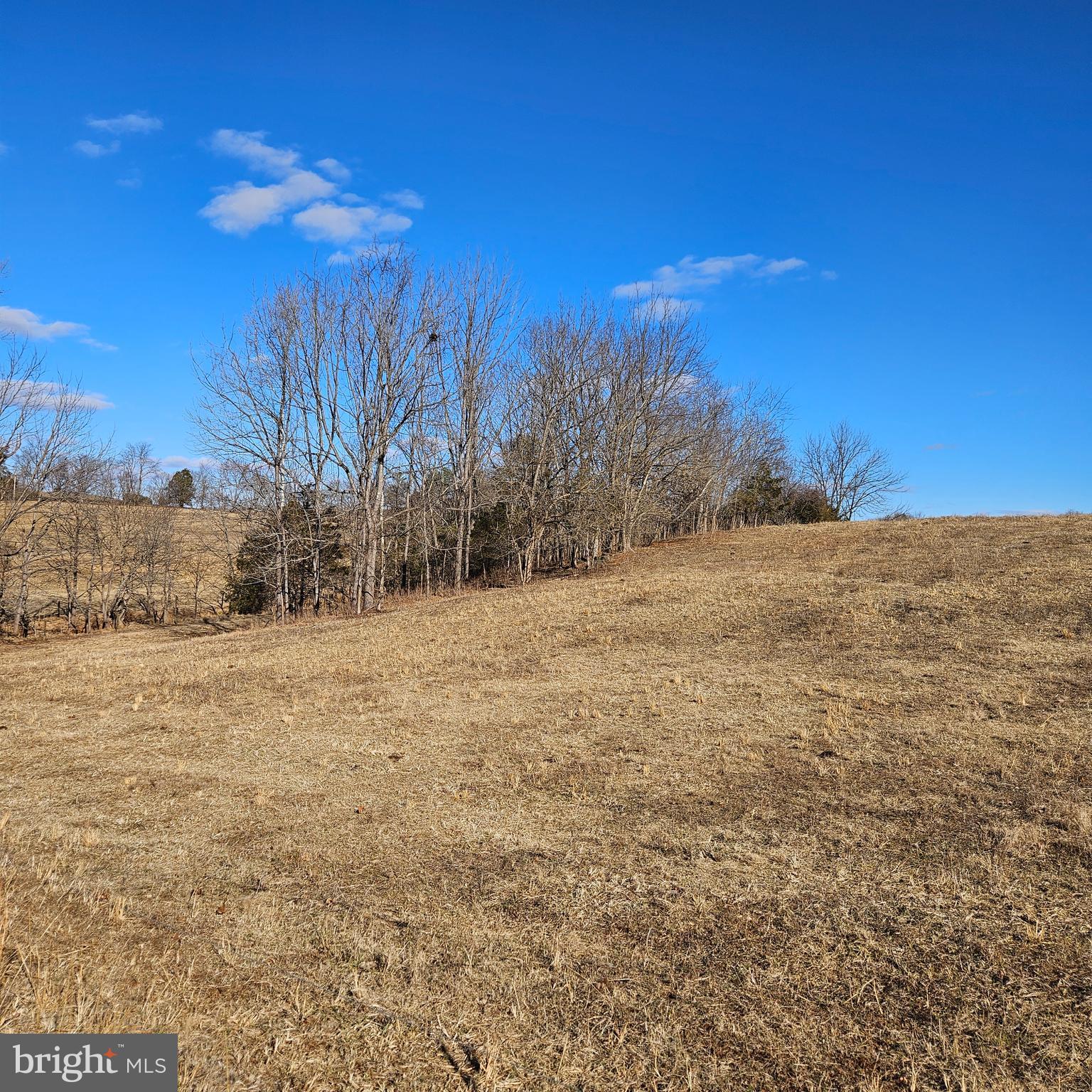 0 Private Lane Rixeyville, VA 22737 - Photo 7 of 7 a view of mountain view with trees