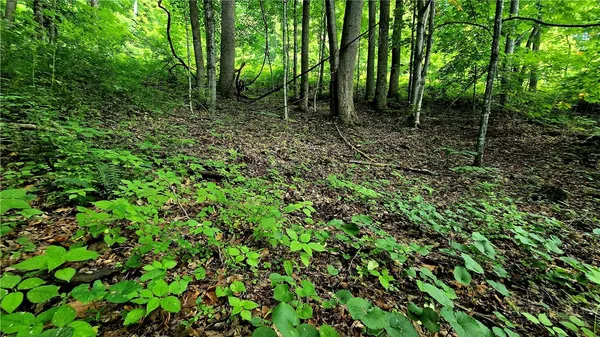 $65,000 | Lot 18 Elk Creek Mountain Parkway, Todd, NC 28684