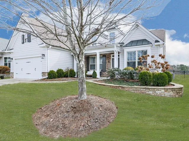 a view of a house with a big yard potted plants and large tree