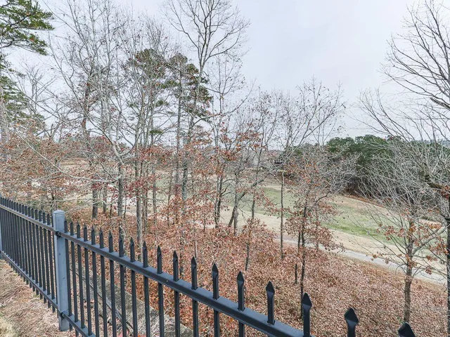 a view of a yard with plants and wooden fence