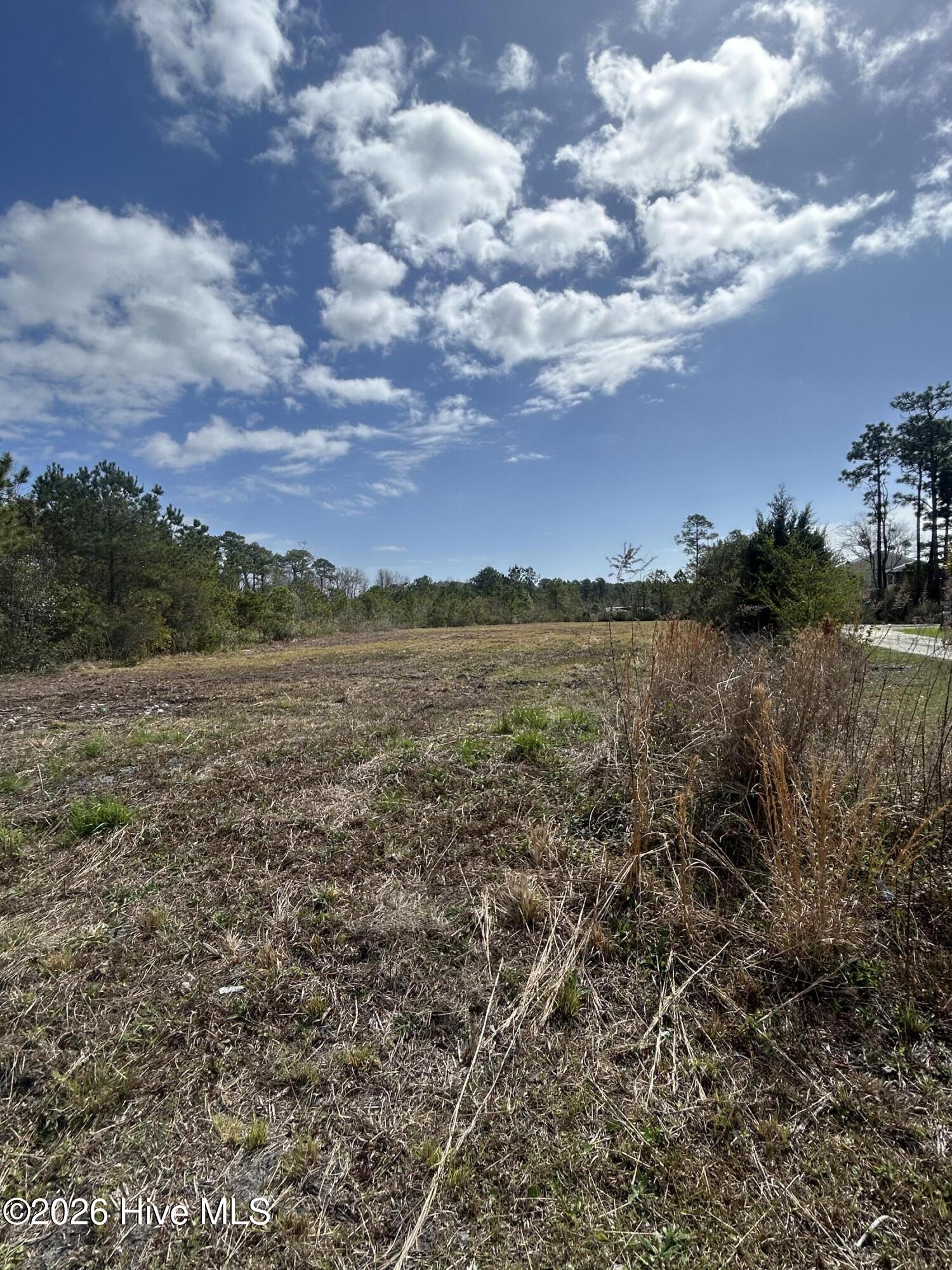 604 Highway 17 Holly Ridge, NC 28445 - Photo 6 of 7 IMG_3941