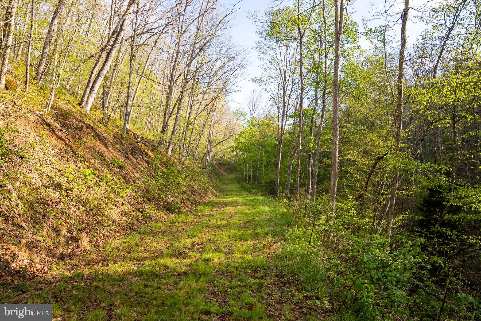199 Green Bank Road Arbovale, WV 24915 - Photo 108 of 113