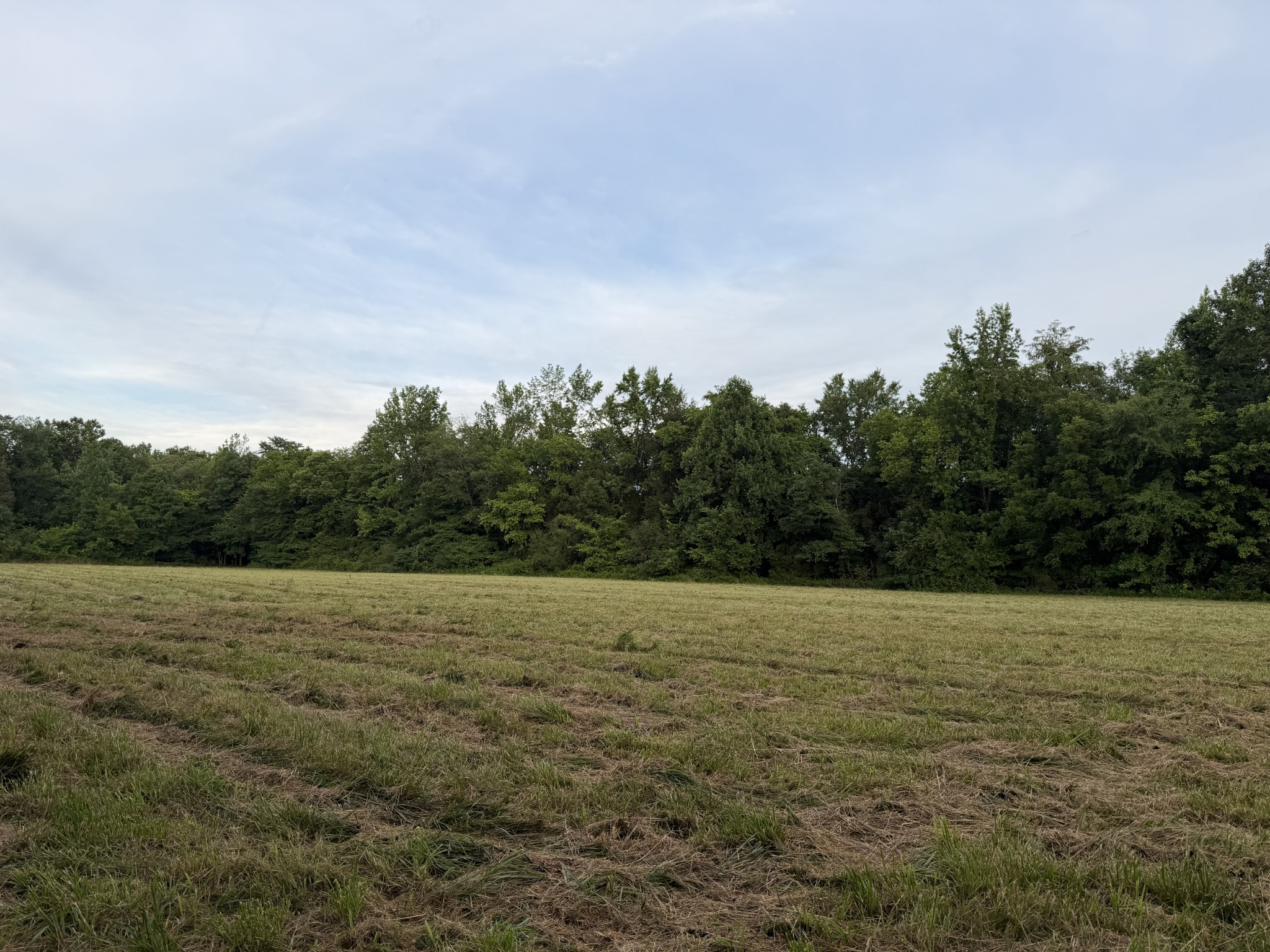 0 Dry Branch Road Holladay, TN 38341 - Photo 3 of 17