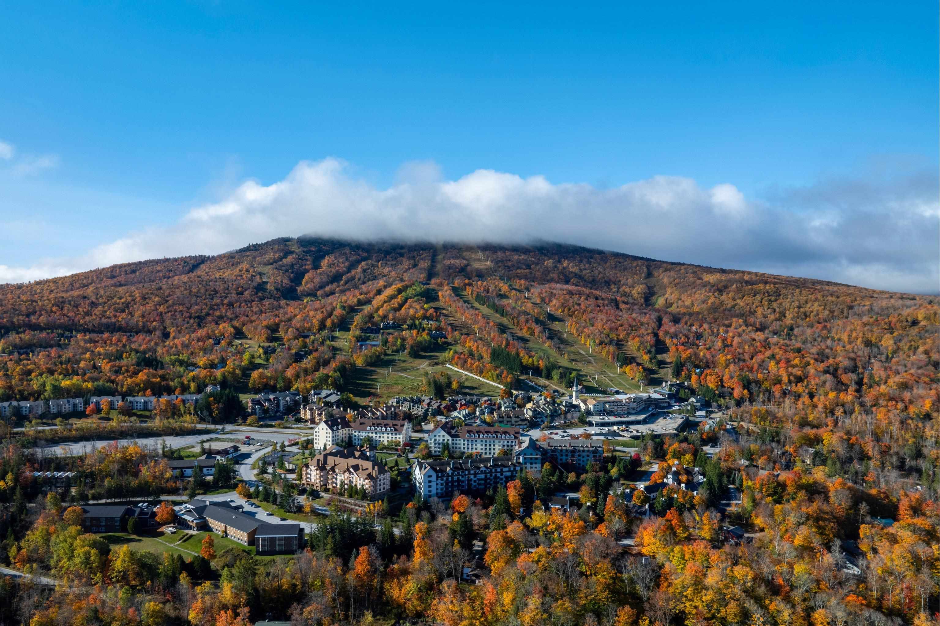 17 Roundtree Road Winhall, VT 05340 - Photo 3 of 37