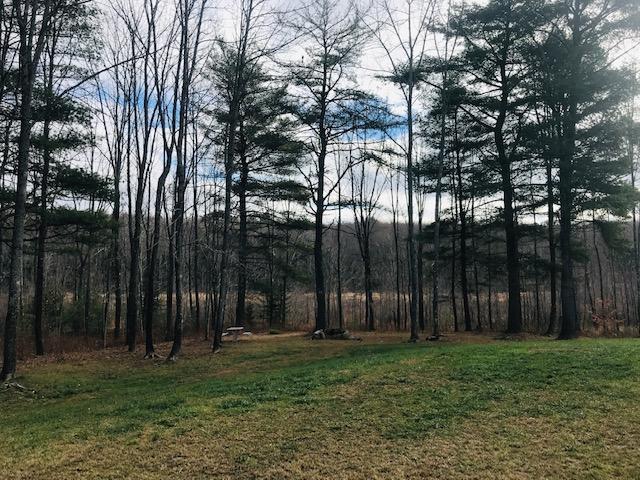 19 Gardiner Road Dresden, ME 04342 - Photo 29 of 32 yard