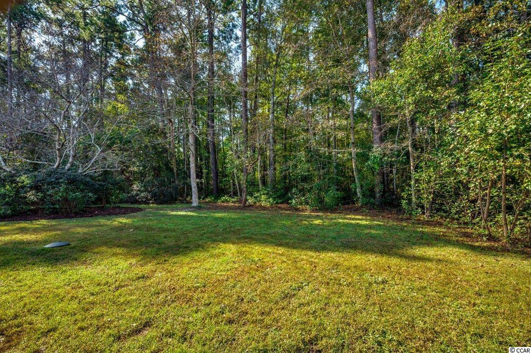 4446 Firethorne Drive Murrells Inlet, SC 29576 - Photo 32 of 36 Gallery Image 32