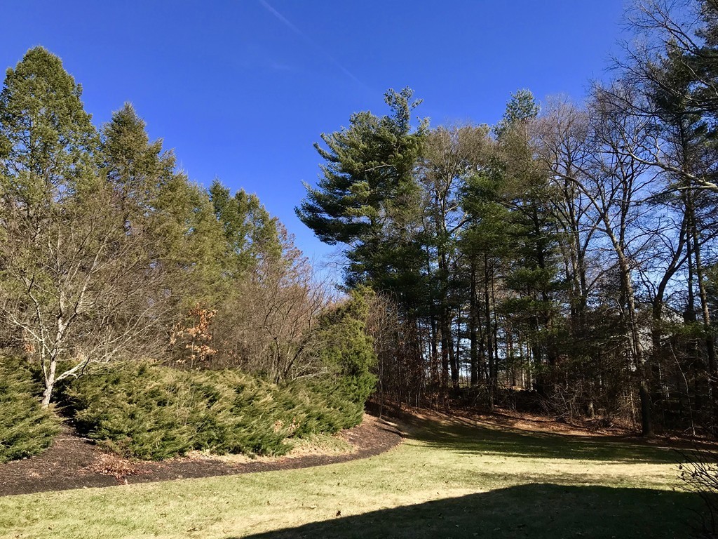 11 Castle Road Norfolk, MA 02056 - Photo 30 of 30 Gallery Image 30