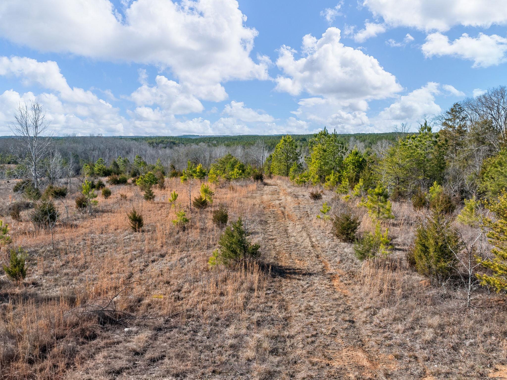 737 State Rd S-11-231 Gaffney, SC 29340 - Photo 43 of 50