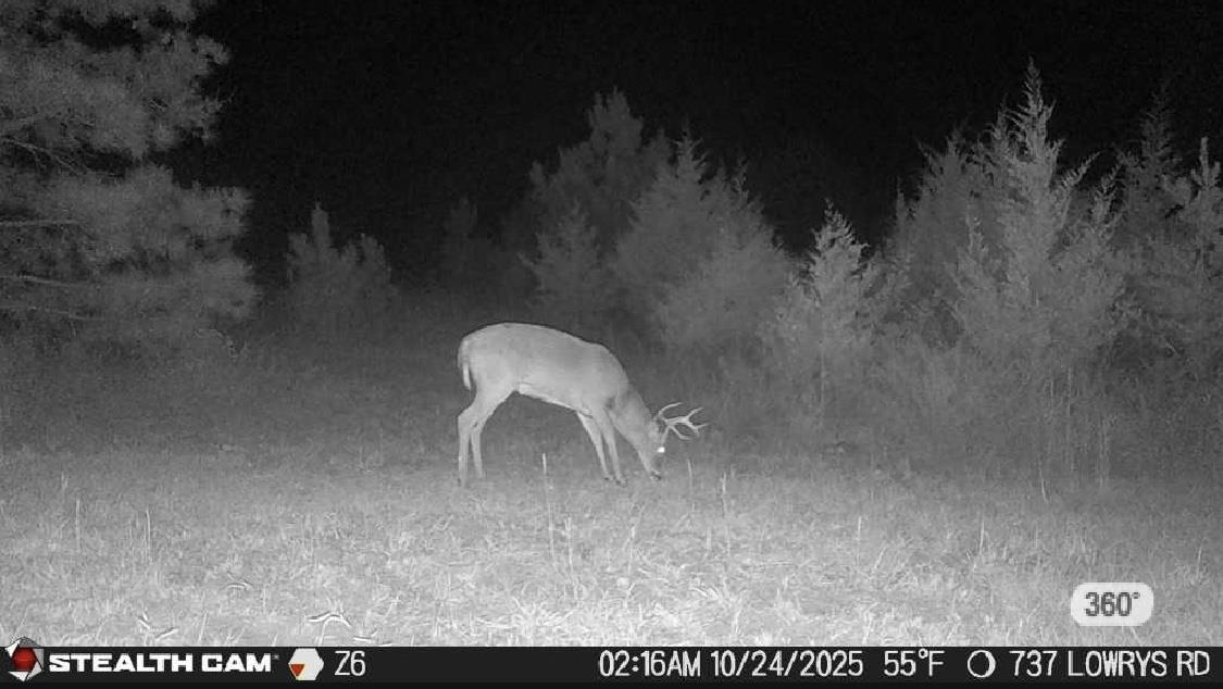 737 State Rd S-11-231 Gaffney, SC 29340 - Photo 46 of 50