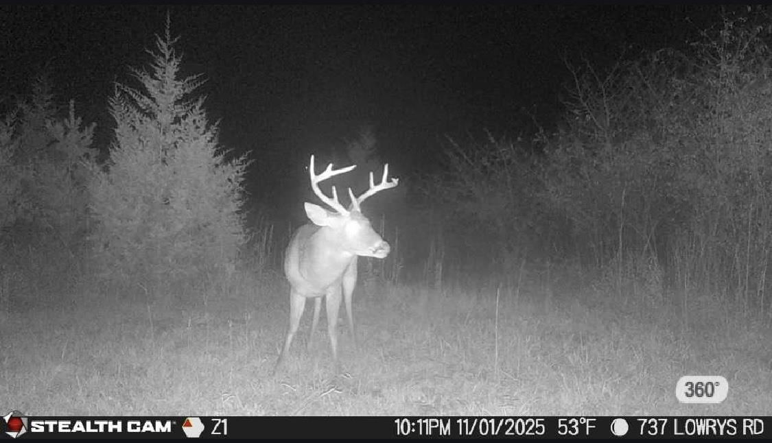 737 State Rd S-11-231 Gaffney, SC 29340 - Photo 47 of 50