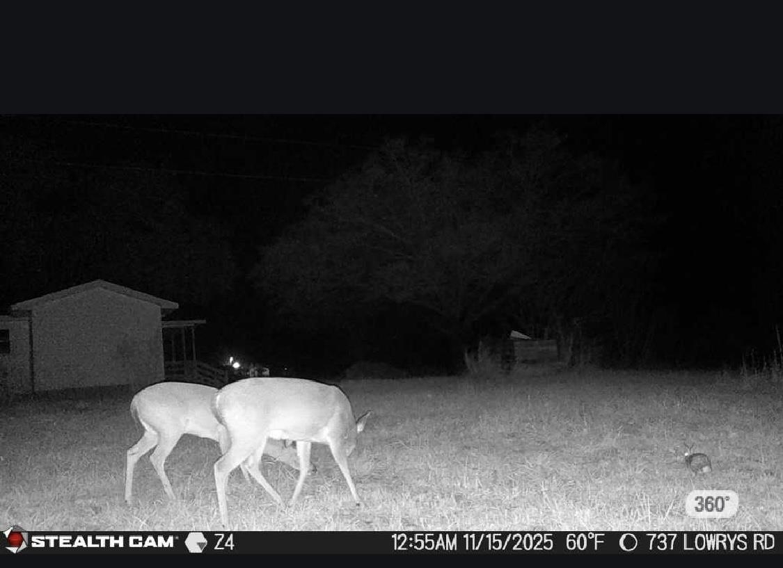 737 State Rd S-11-231 Gaffney, SC 29340 - Photo 48 of 50