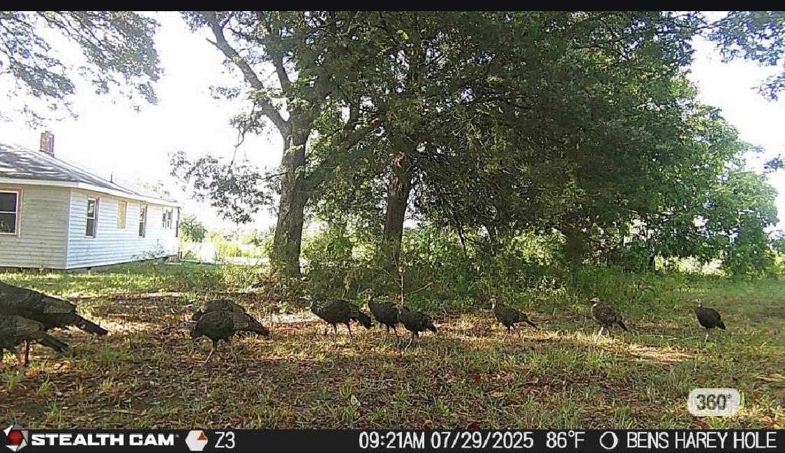 737 State Rd S-11-231 Gaffney, SC 29340 - Photo 50 of 50