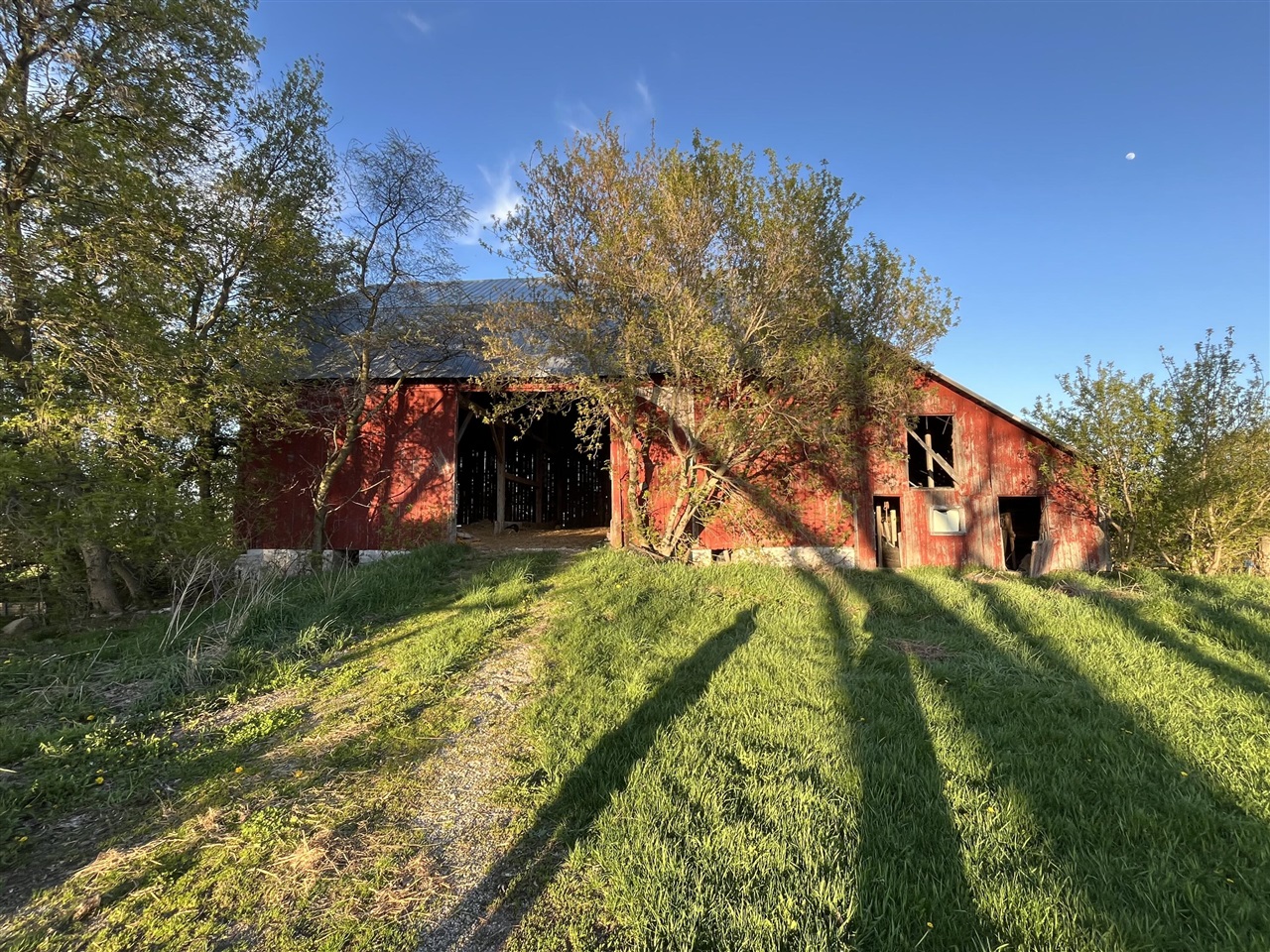 10179 South 7 Mile Road Marion, MI 49665 - Photo 4 of 5