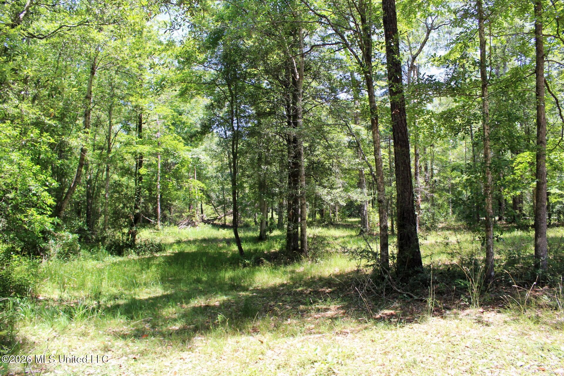 2.88-ac Morrison Road Lucedale, MS 39452 - Photo 10 of 12 5