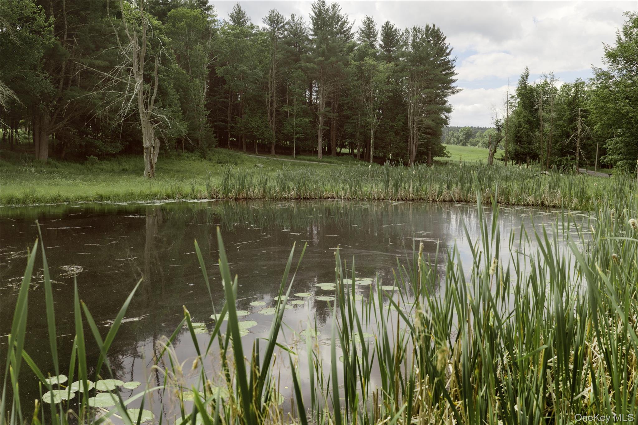 596 Perry Road Bethel, NY 12748 - Photo 8 of 38