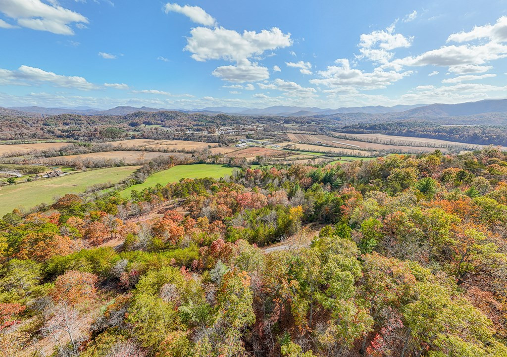 0 Mistletoe Ridge Murphy, NC 28906 - Photo 4 of 34