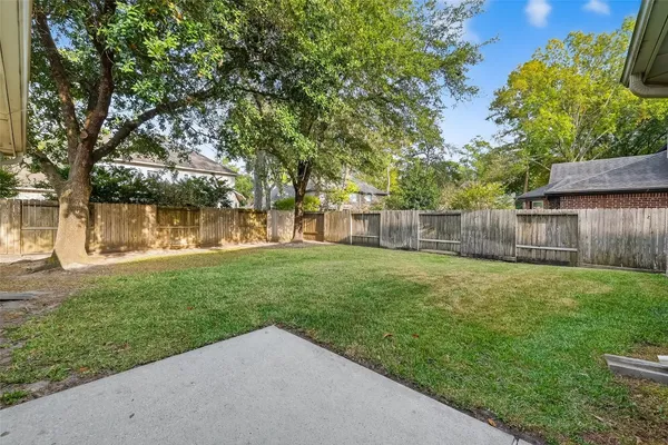 a view of a yard with a large tree and a swing chair