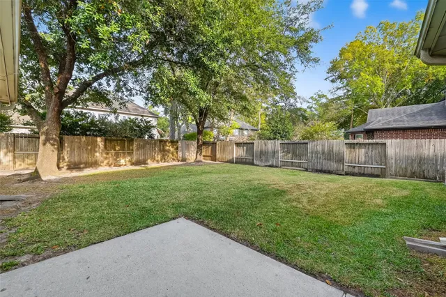 a view of a yard with tree s
