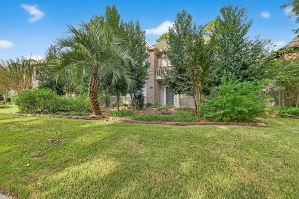 a view of a back yard