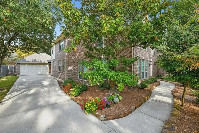 a view of a street with potted plants and a large tree