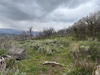 144 West Bear Tooth Ridge Coalville, UT 84017 - Photo 7 of 19 Expansive natural landscape featuring varied green foliage and scattered dry brush