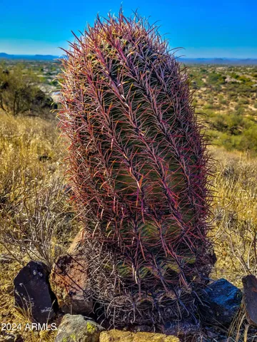 $1,250,000 | 8035 East Lone Mountain Road, Scottsdale, AZ 85266