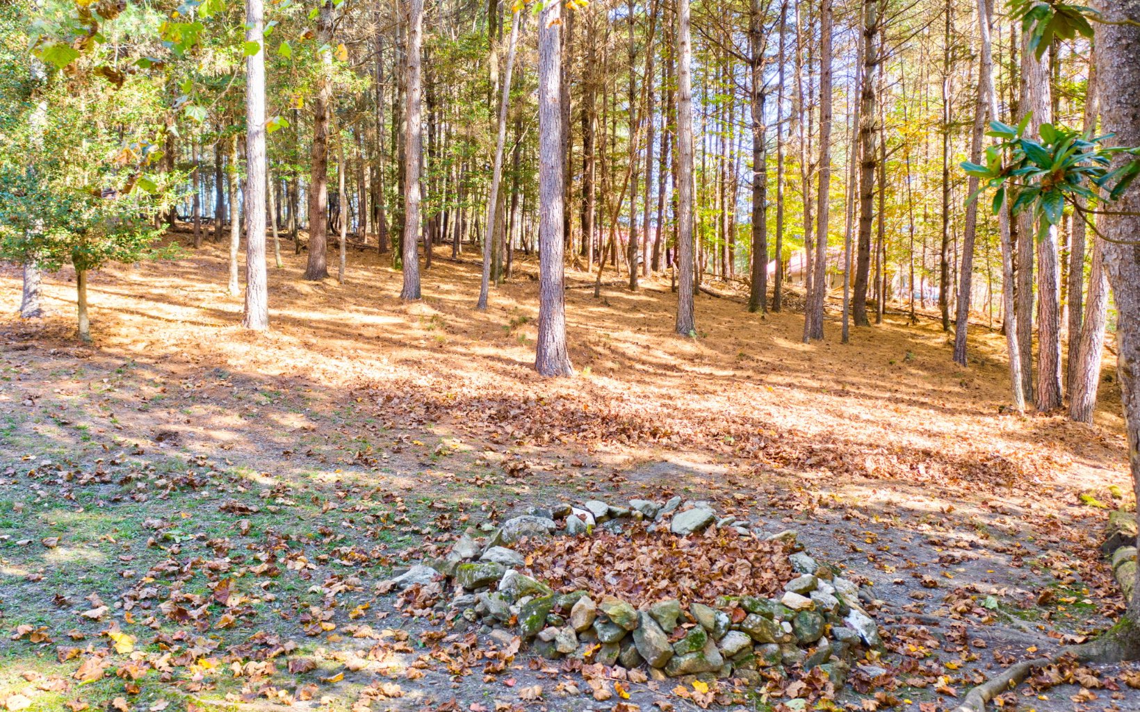 515 Indian Cave Road Ellijay, GA 30536 - Photo 29 of 39 Additional View