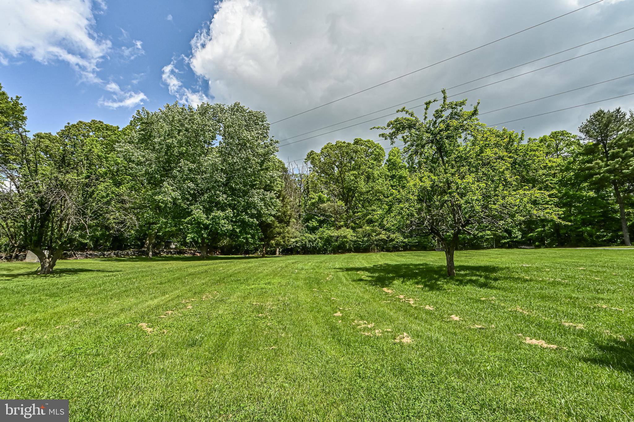 7833 Gambrill Park Road Frederick, MD 21702 - Photo 33 of 34 back yard