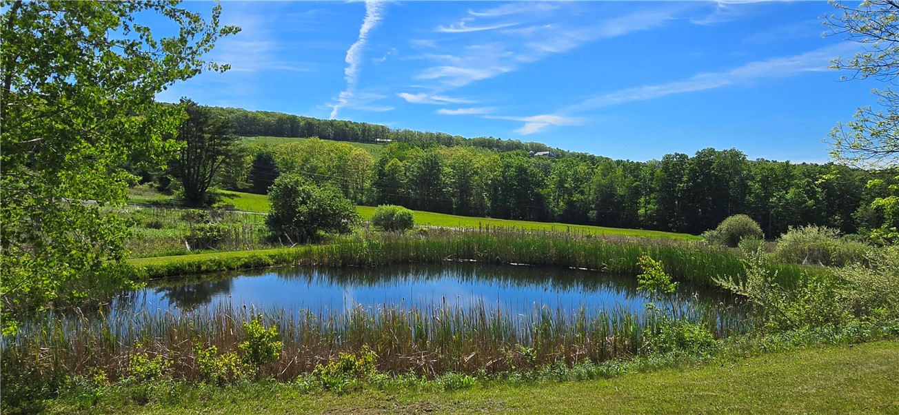324 Murphy Hill Road Catlin, NY 14845 - Photo 6 of 47