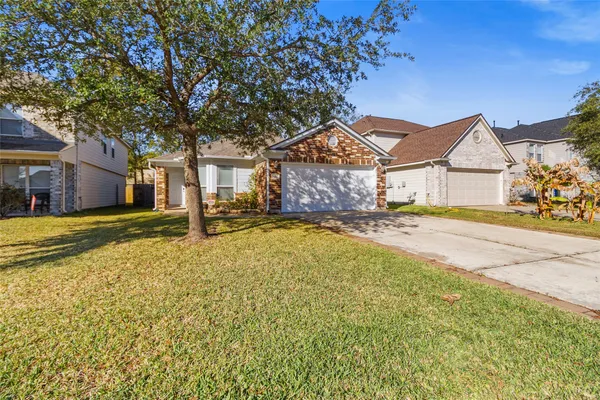 a house with a large tree in front of it