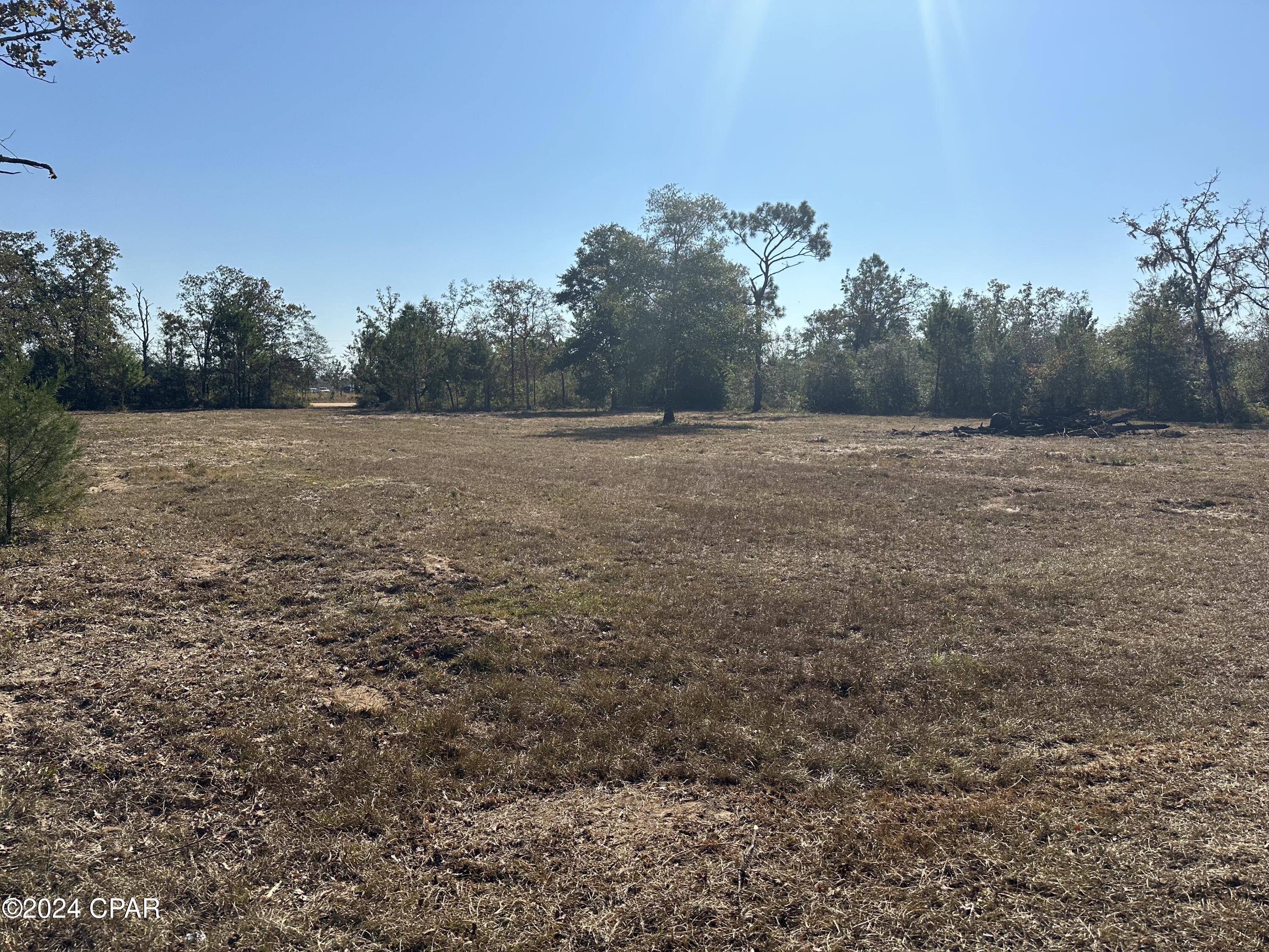 21002 Willow Bend Road Altha, FL 32421 - Photo 3 of 6 Gallery Image 3