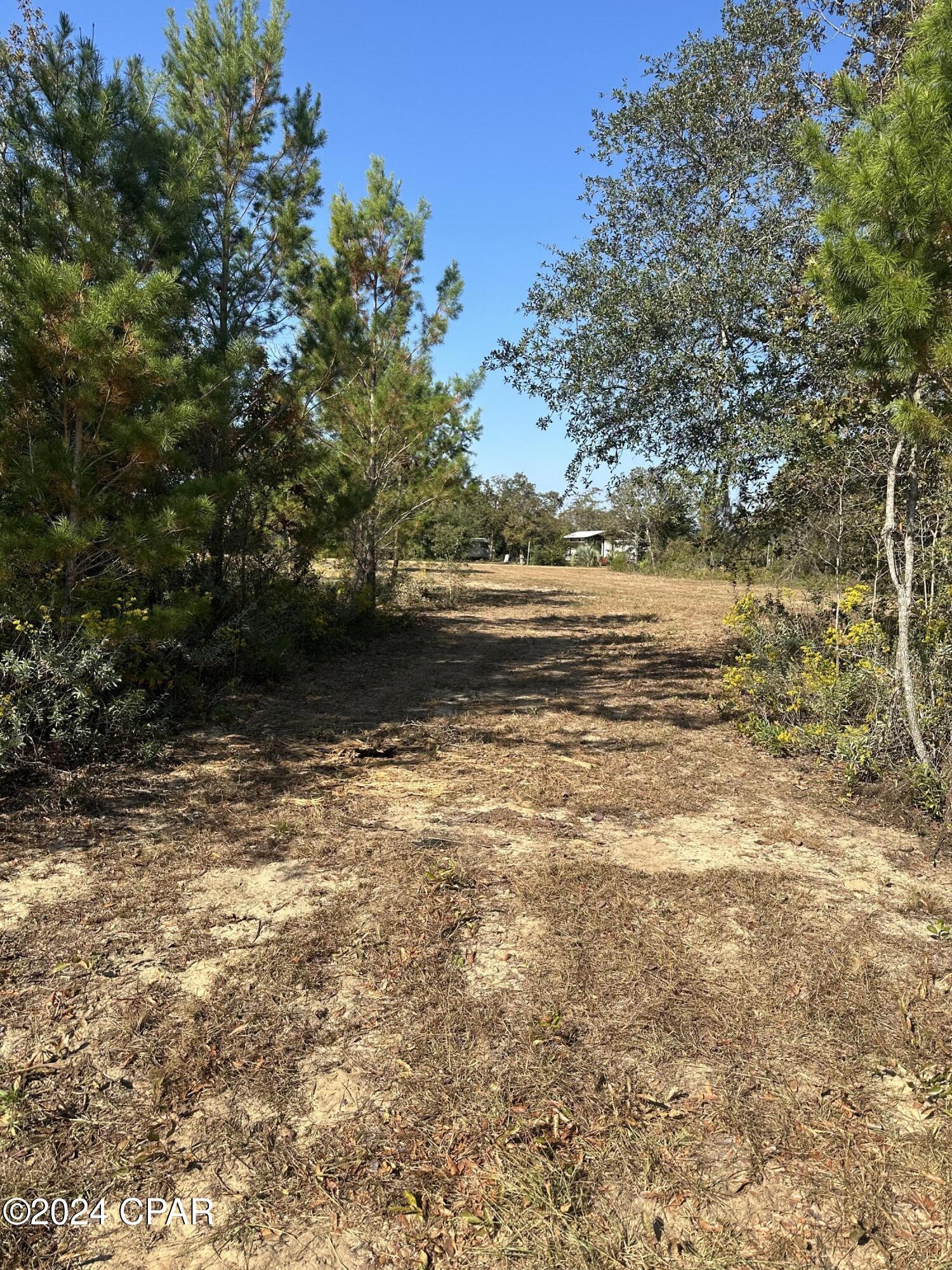 21002 Willow Bend Road Altha, FL 32421 - Photo 5 of 6 Gallery Image 5