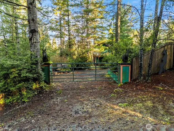 a view of park with trees