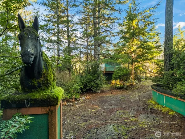a view of a park with plants and trees