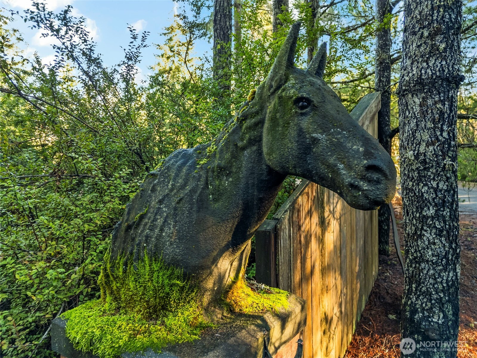 1121 East Timber Tides Drive Union, WA 98592 - Photo 5 of 14