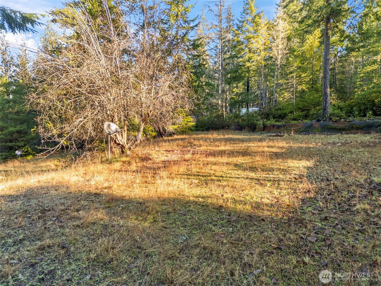 1121 East Timber Tides Drive Union, WA 98592 - Photo 7 of 14