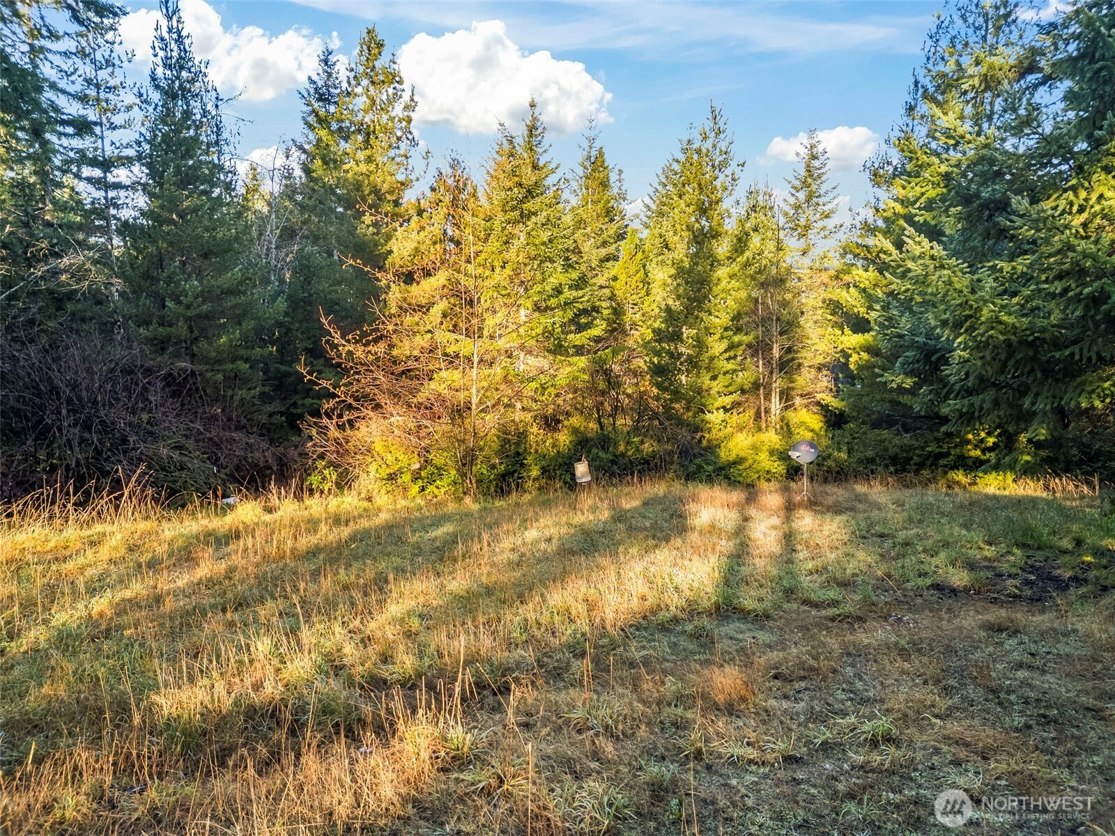 1121 East Timber Tides Drive Union, WA 98592 - Photo 8 of 14