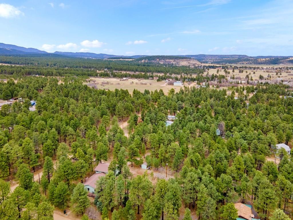 8145 Birch Drive Rye, CO 81069 - Photo 40 of 44