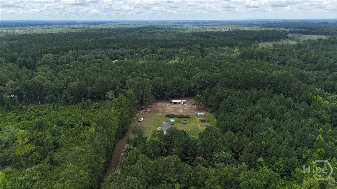 913 Berryville Road Clyo, GA 31303 - Photo 1 of 5
